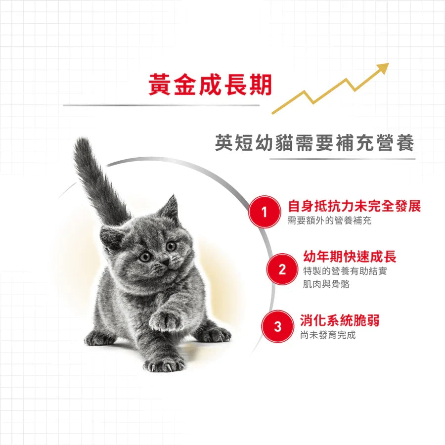 Royal Canin | 英國短毛幼貓貓乾糧 2kg