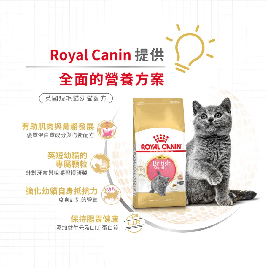 Royal Canin | 英國短毛幼貓貓乾糧 10kg