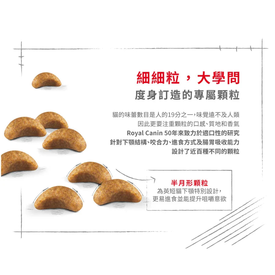 Royal Canin | 英國短毛幼貓貓乾糧 10kg