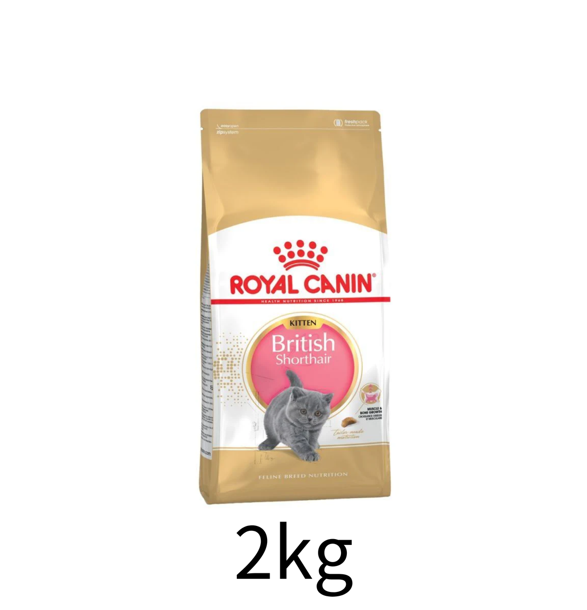 Royal Canin | 英國短毛幼貓貓乾糧 2kg