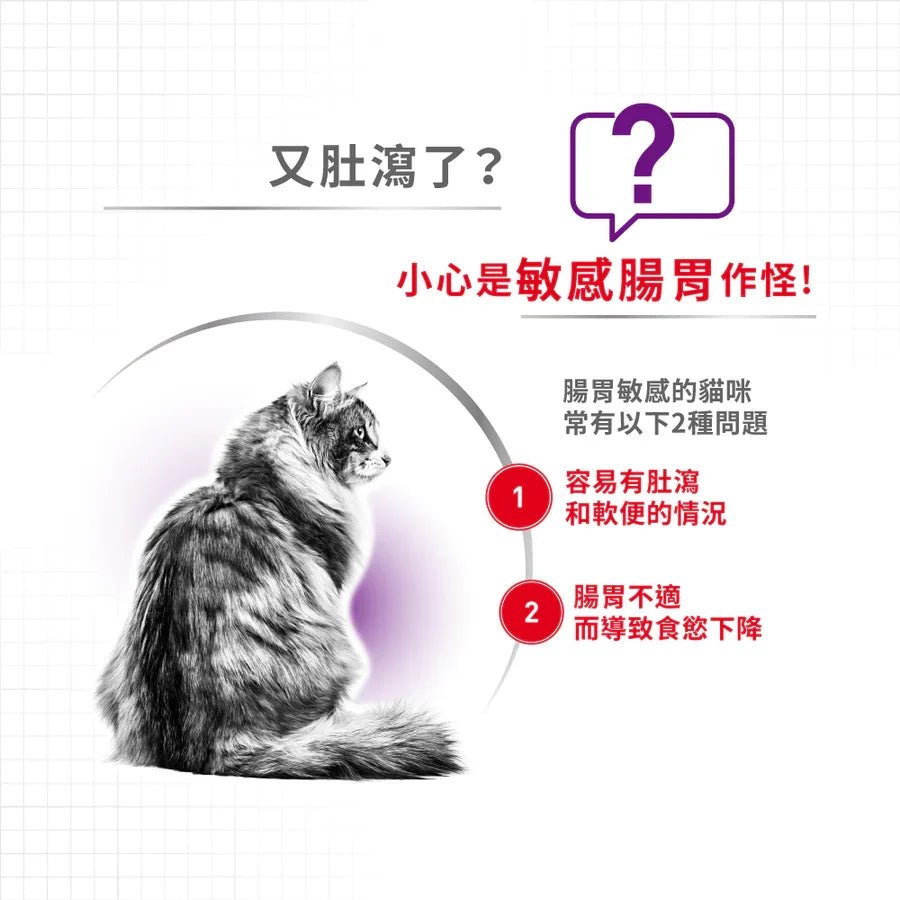 Royal Canin | 腸胃敏感貓乾糧 2kg