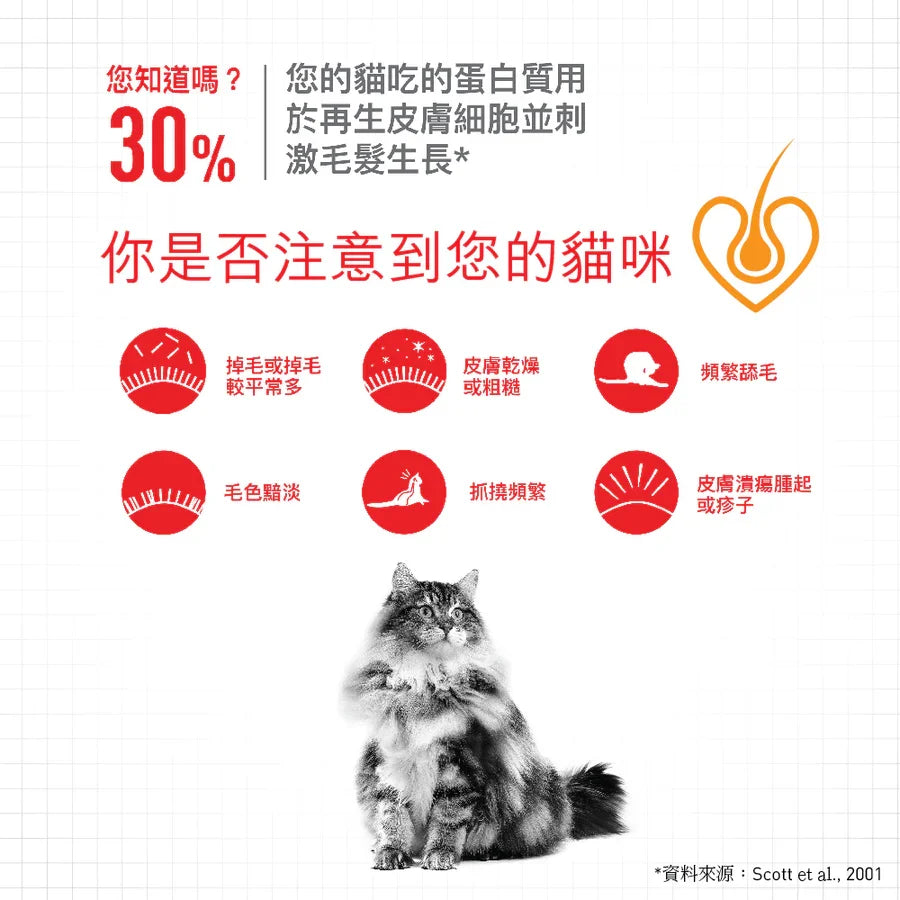 Royal Canin | Hair & Skin Care 亮毛及皮膚健康配方貓乾糧 2kg