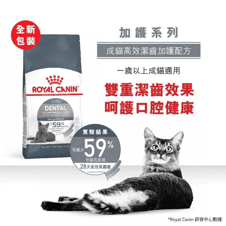 Royal Canin | Dental Care 高效潔齒加護配方貓乾糧 8kg
