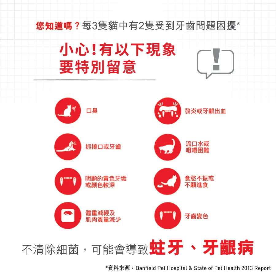 Royal Canin | Dental Care 高效潔齒加護配方貓乾糧 3.5kg