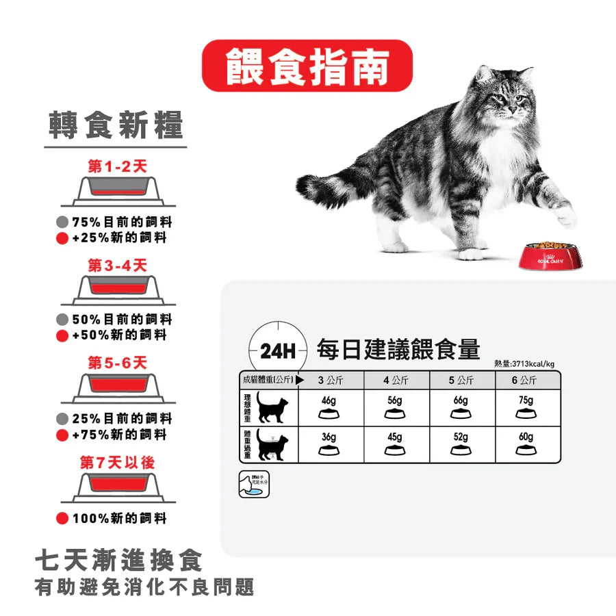 Royal Canin | Dental Care 高效潔齒加護配方貓乾糧 8kg