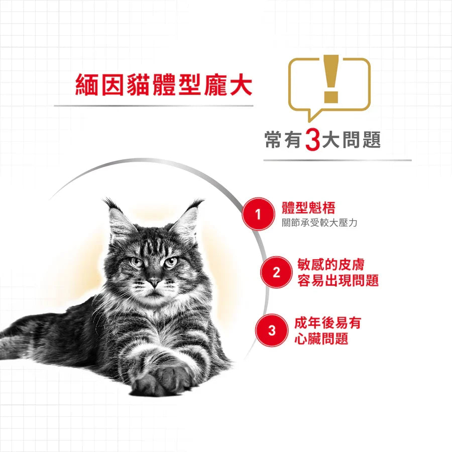 Royal Canin | 緬因成貓貓乾糧 10kg