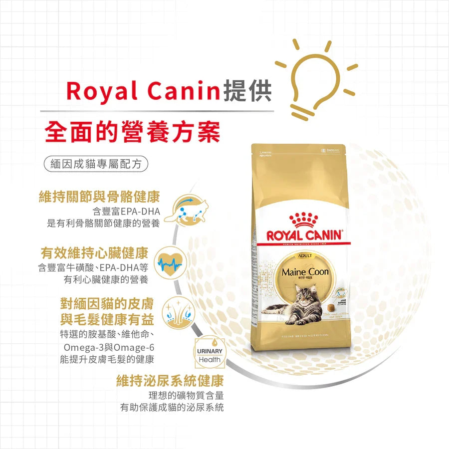 Royal Canin | 緬因成貓貓乾糧 10kg