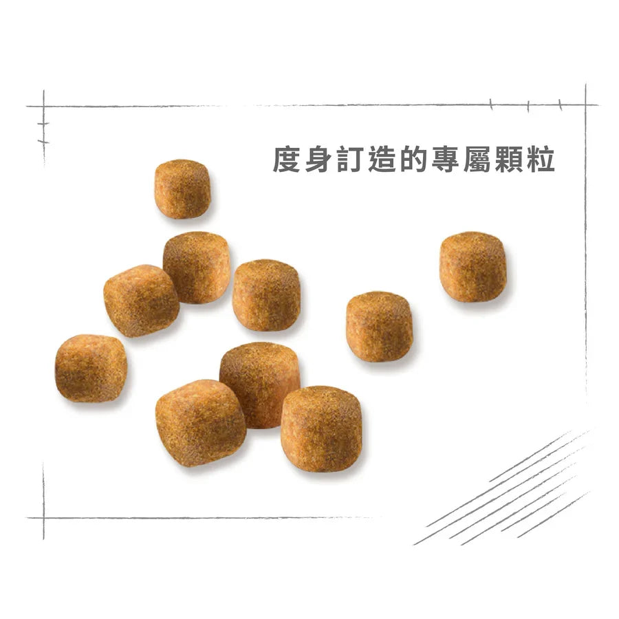 Royal Canin | 緬因成貓貓乾糧 10kg