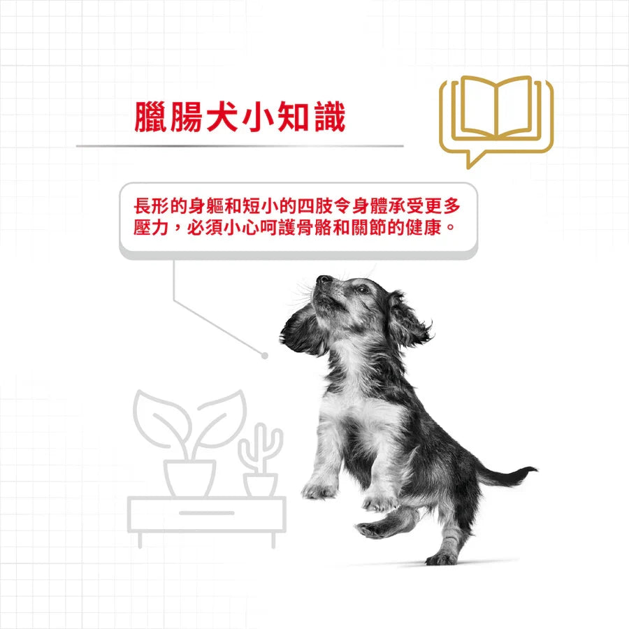 Royal Canin | 臘腸狗成犬專屬配方狗乾糧 1.5kg