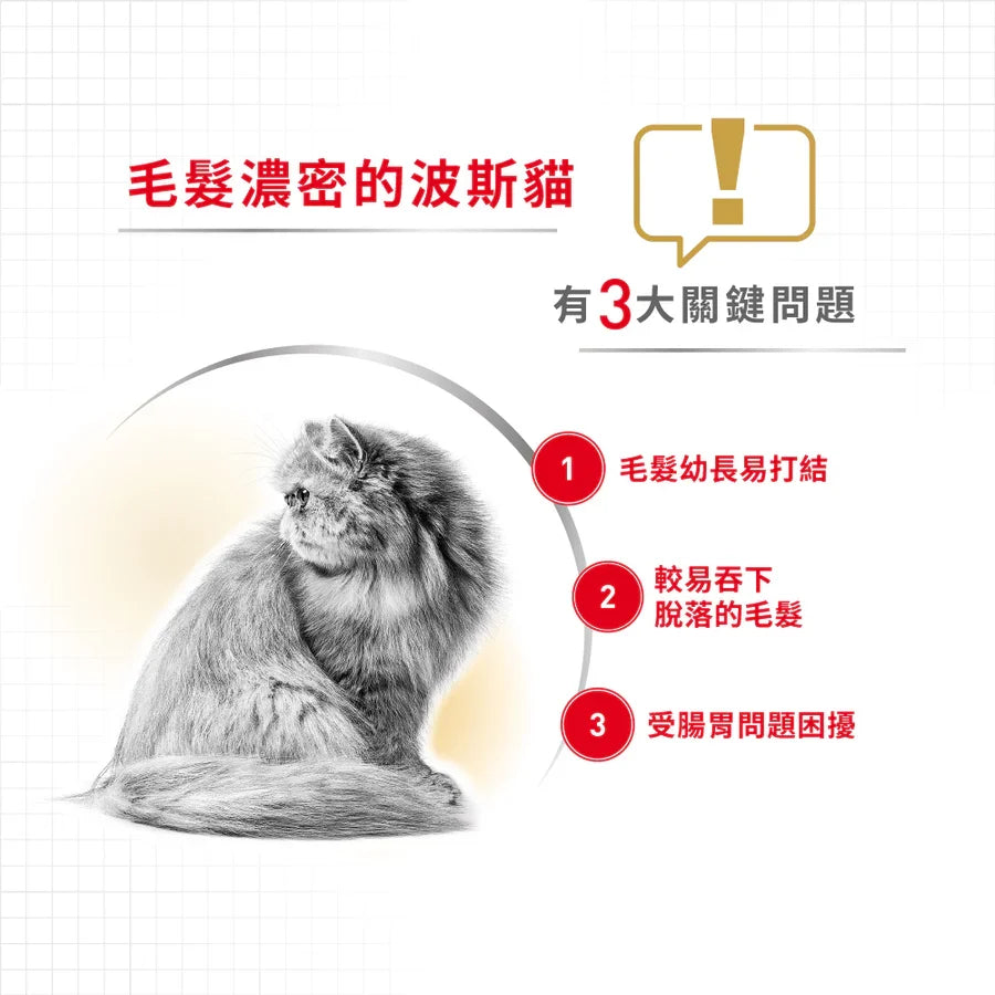 Royal Canin | 波斯成貓貓乾糧 10kg