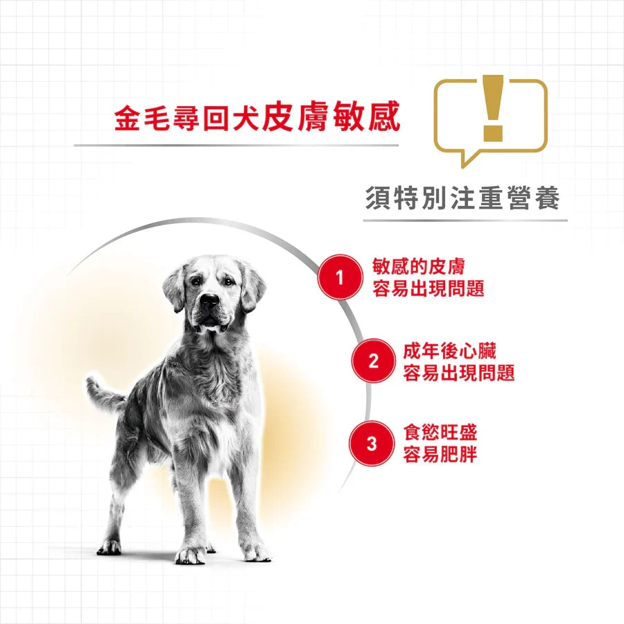 Royal Canin | 金毛尋回成犬專屬配方狗乾糧 12kg