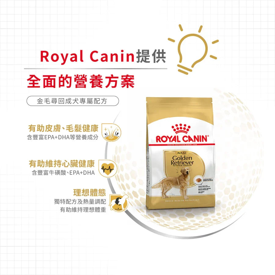 Royal Canin | 金毛尋回成犬專屬配方狗乾糧 12kg