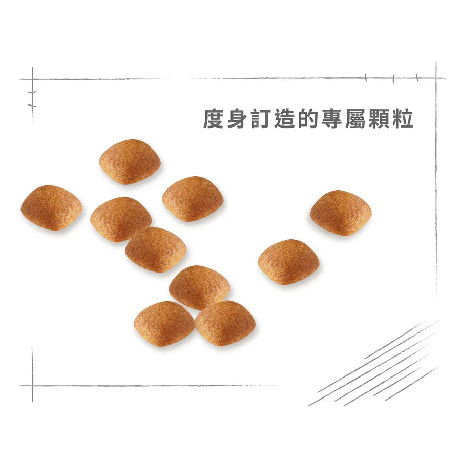 Royal Canin | 金毛尋回成犬專屬配方狗乾糧 12kg