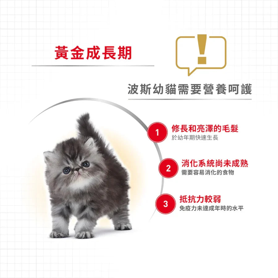 Royal Canin | 波斯幼貓貓乾糧 10kg