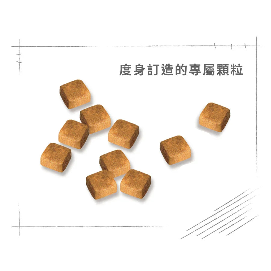 Royal Canin | 波斯幼貓貓乾糧 2kg