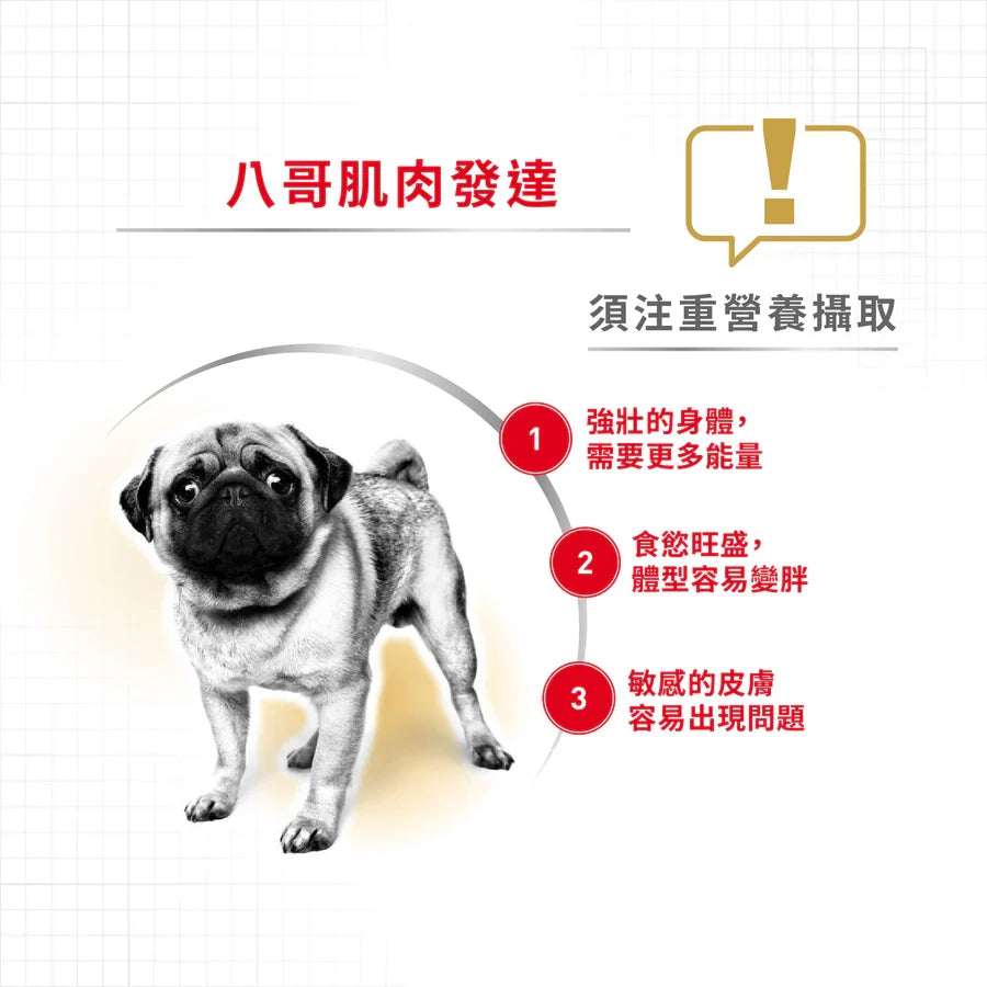 Royal Canin | 八哥成犬專屬配方狗乾糧 1.5kg