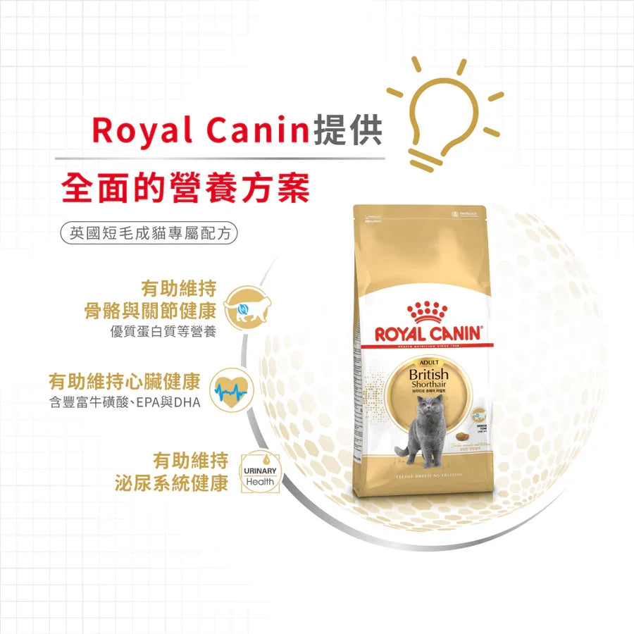 Royal Canin | 英國短毛成貓貓乾糧 10kg