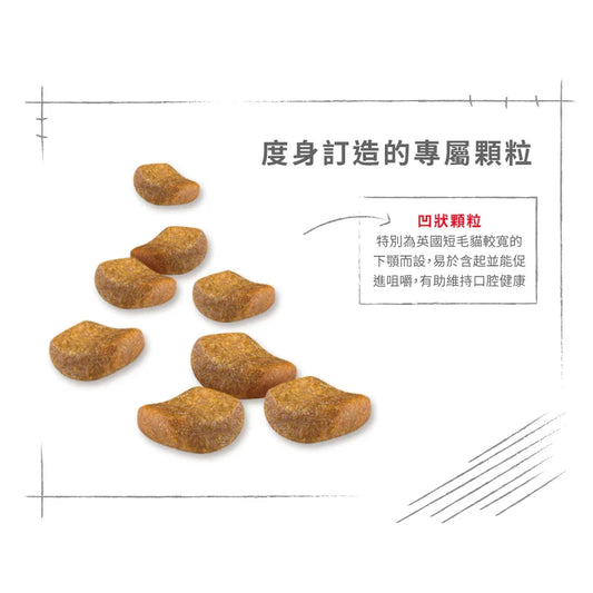 Royal Canin | 英國短毛成貓貓乾糧 2kg