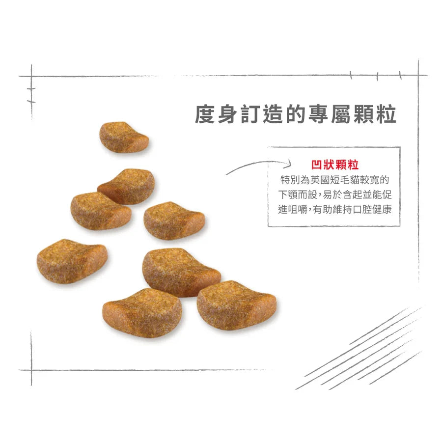 Royal Canin | 英國短毛成貓貓乾糧 10kg