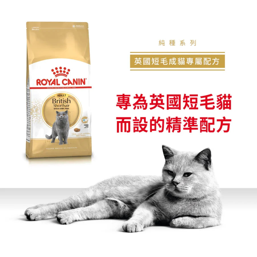 Royal Canin | 英國短毛成貓貓乾糧 10kg