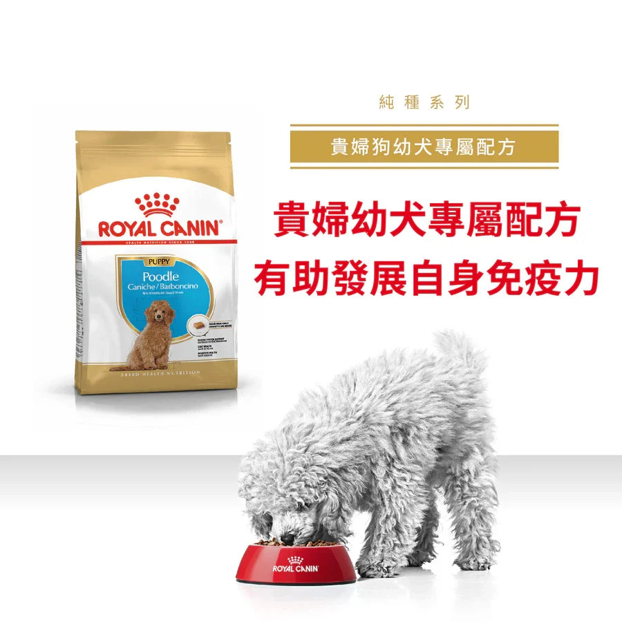 Royal Canin | 貴婦狗幼犬專屬配方狗乾糧 3kg