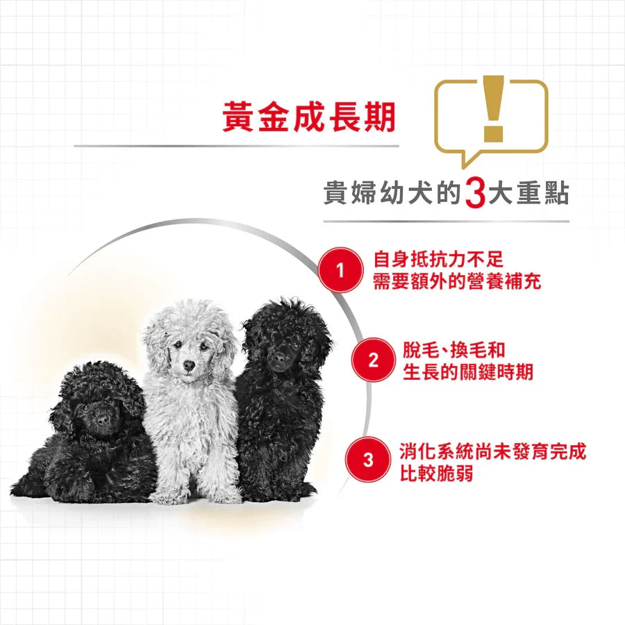 Royal Canin | 貴婦狗幼犬專屬配方狗乾糧 3kg