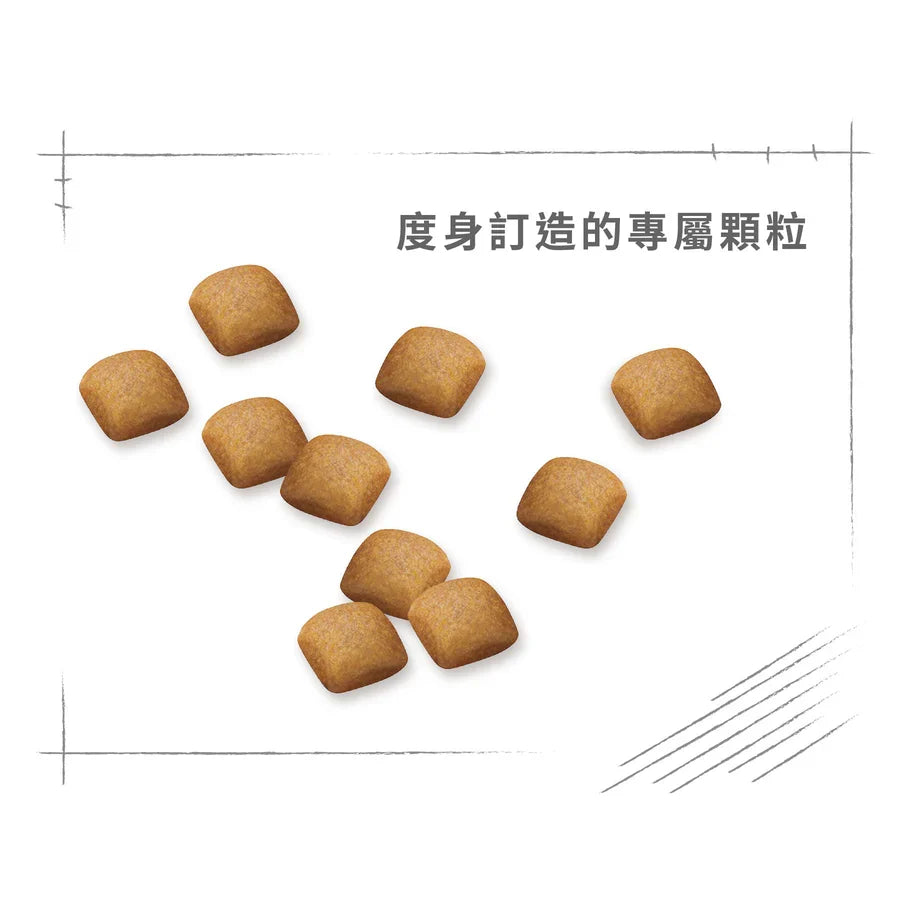 Royal Canin | 柴犬成犬專屬配方狗乾糧 4kg