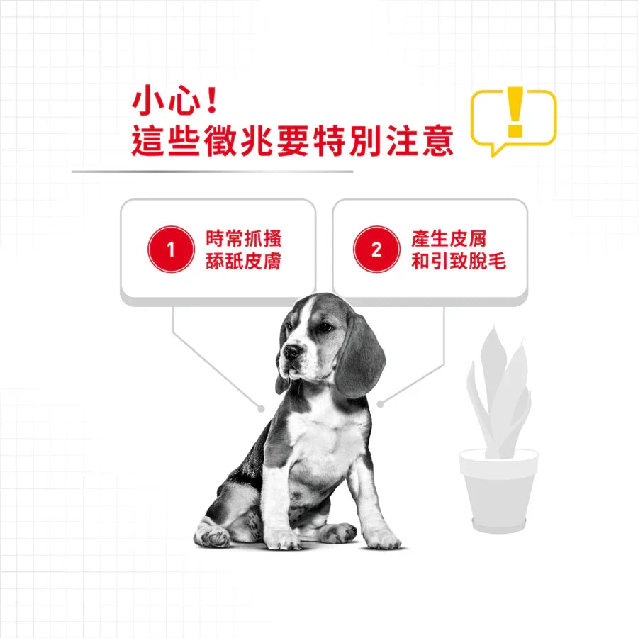 Royal Canin | Medium Dermacomfort 中型犬皮膚舒緩加護配方狗乾糧 3kg