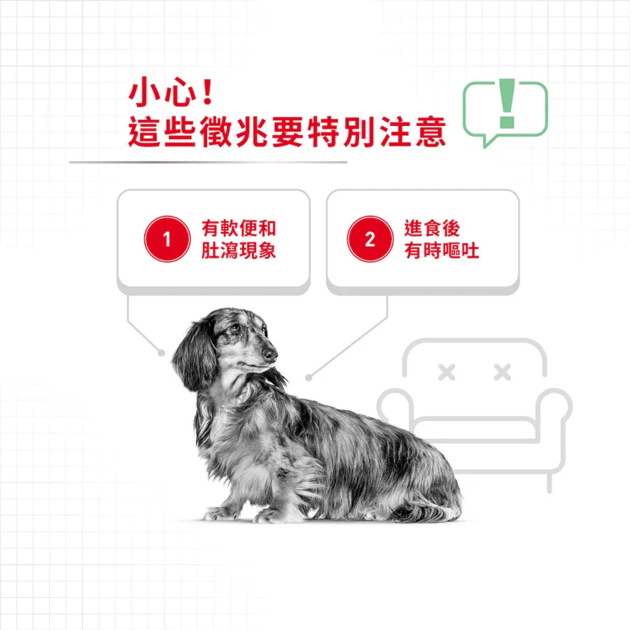 Royal Canin | Mini Digestive Care  小型犬消化道加護配方狗乾糧 3kg