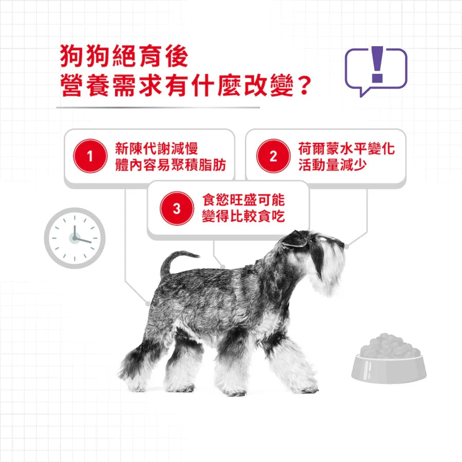 Royal Canin | Mini Sterilised 小型犬絕育加護配方狗乾糧 3kg
