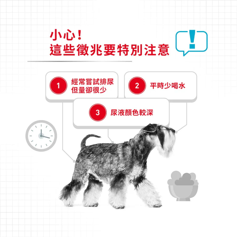 Royal Canin | Mini Urinary Care 小型犬泌尿道加護配方狗乾糧 8kg