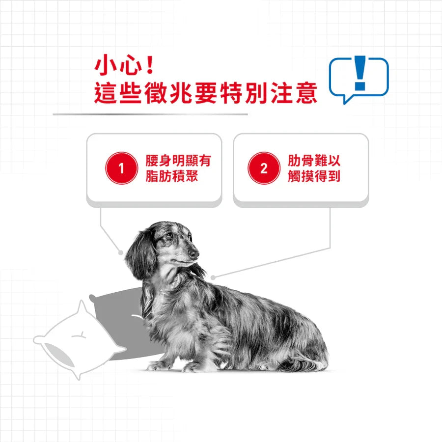 Royal Canin | Mini Light Weight Care 小型犬體重控制加護配方狗乾糧 8kg