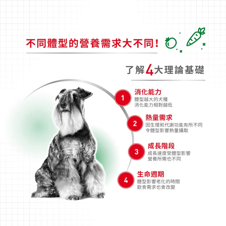 Royal Canin | 小型成犬8+ Mini Adult 狗乾糧 2kg