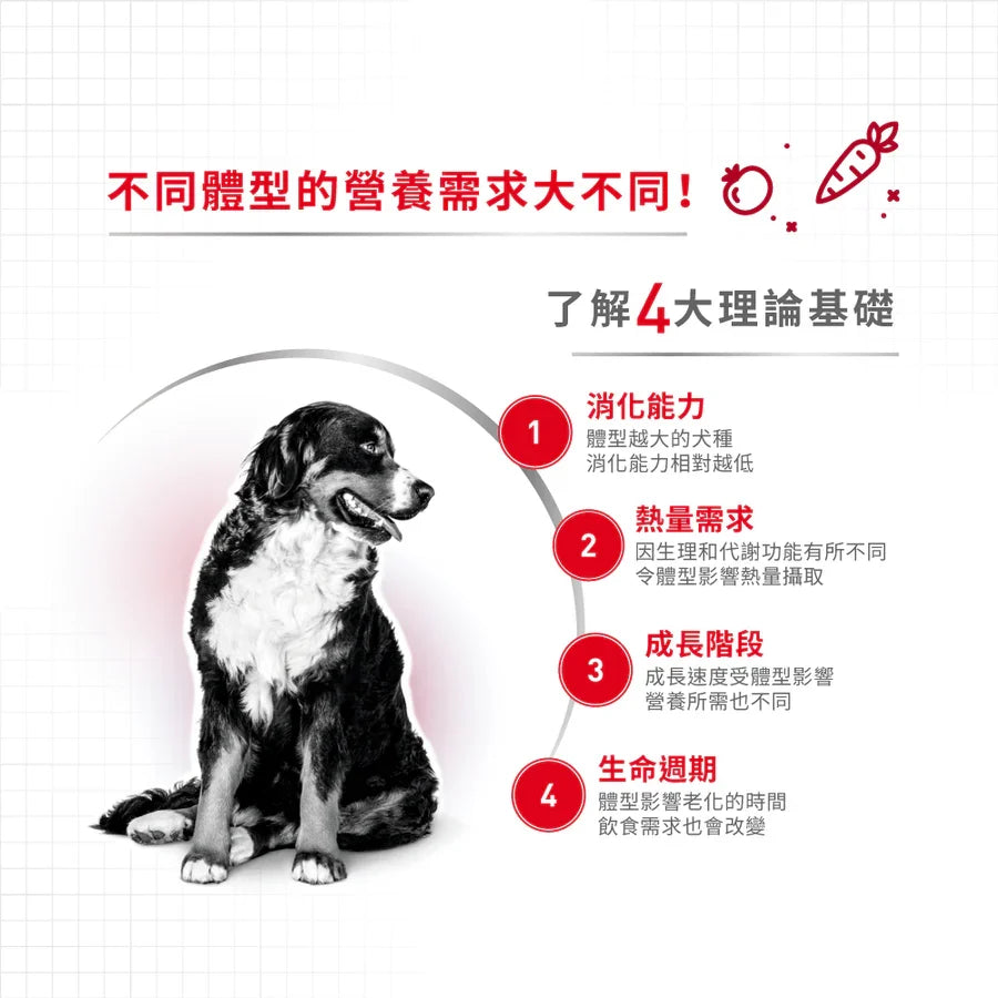 Royal Canin | 中型成犬營養配方 Medium Adult 狗乾糧 4kg