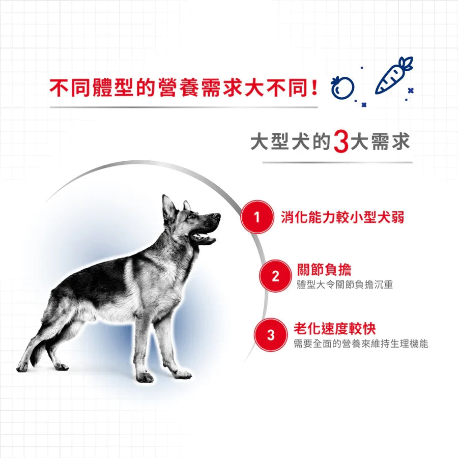 Royal Canin | 大型成犬營養配方 Maxi Adult 狗乾糧 15kg