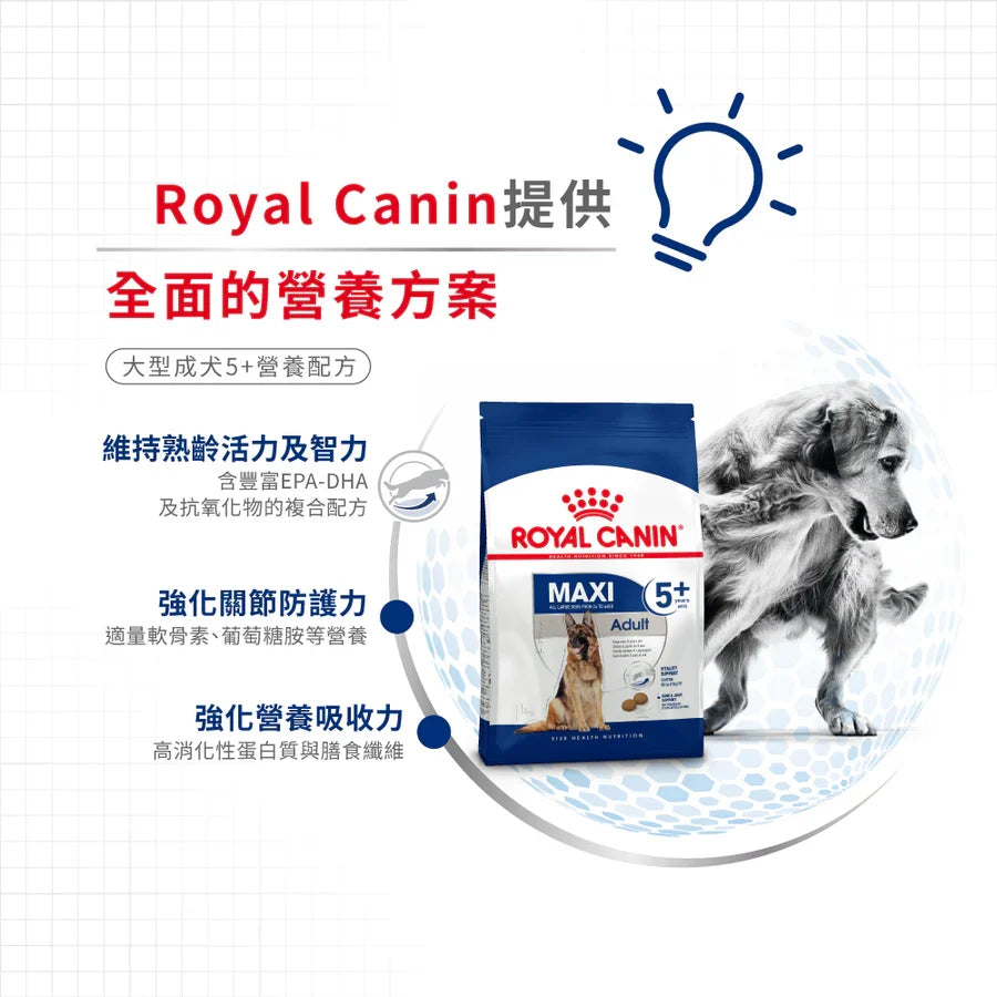 Royal Canin | 大型成犬5+營養配方 Maxi Adult 5+ 狗乾糧 15kg
