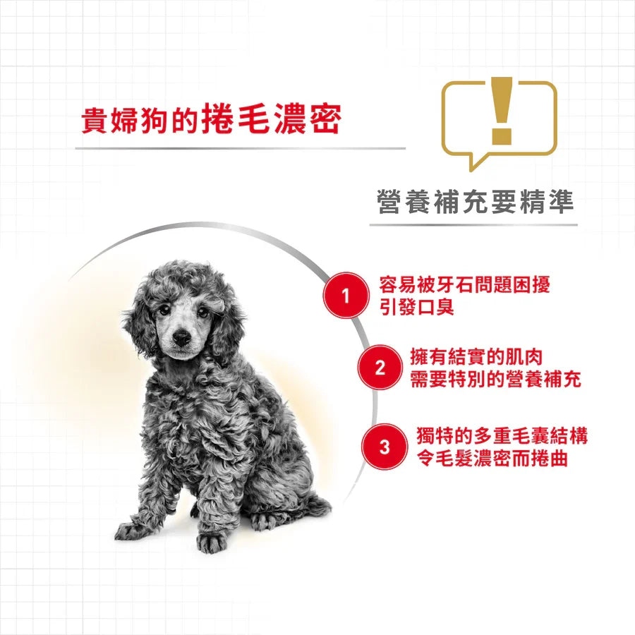 Royal Canin | 貴婦狗成犬專屬配方狗乾糧 7.5kg