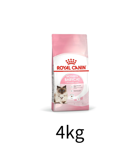 Royal Canin | 授乳母貓及初生貓乾糧 4kg