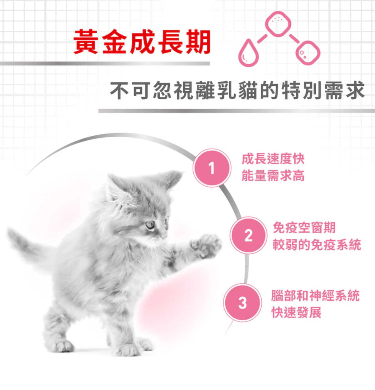 Royal Canin | 授乳母貓及初生貓乾糧 4kg