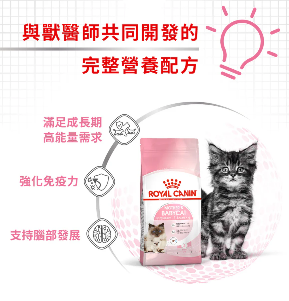 Royal Canin | 授乳母貓及初生貓乾糧 2kg