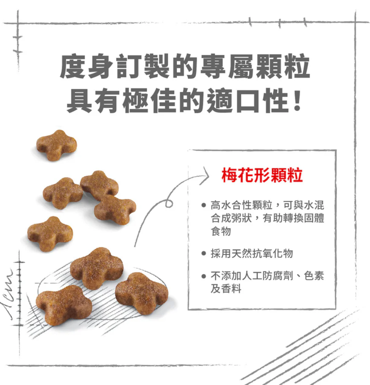 Royal Canin | 授乳母貓及初生貓乾糧 2kg