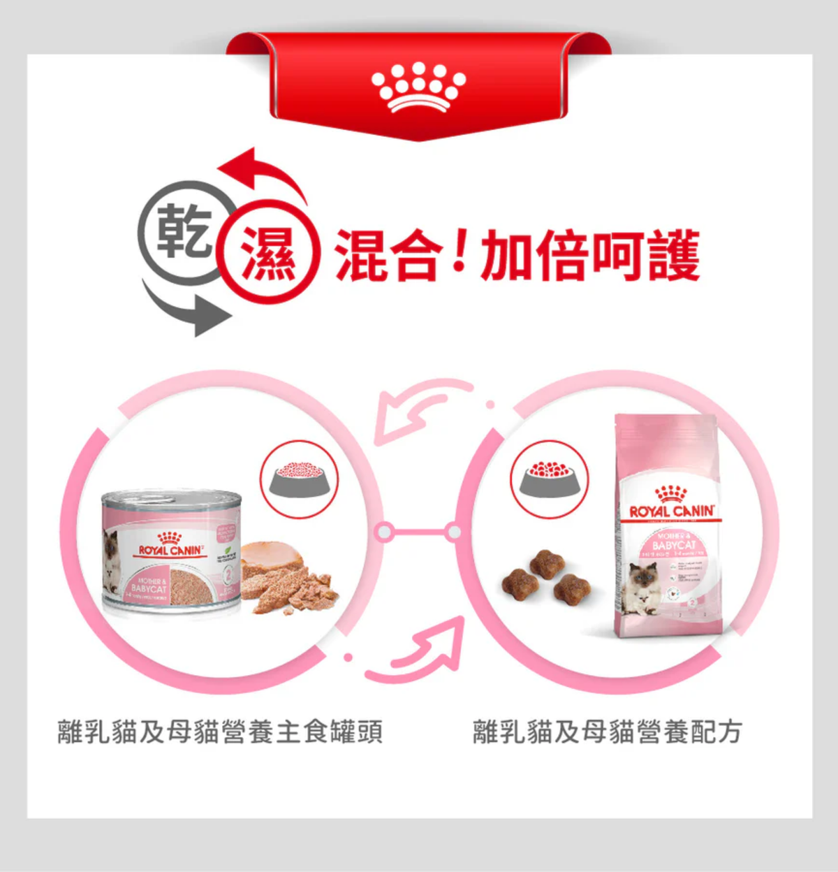 Royal Canin | 授乳母貓及初生貓乾糧 2kg