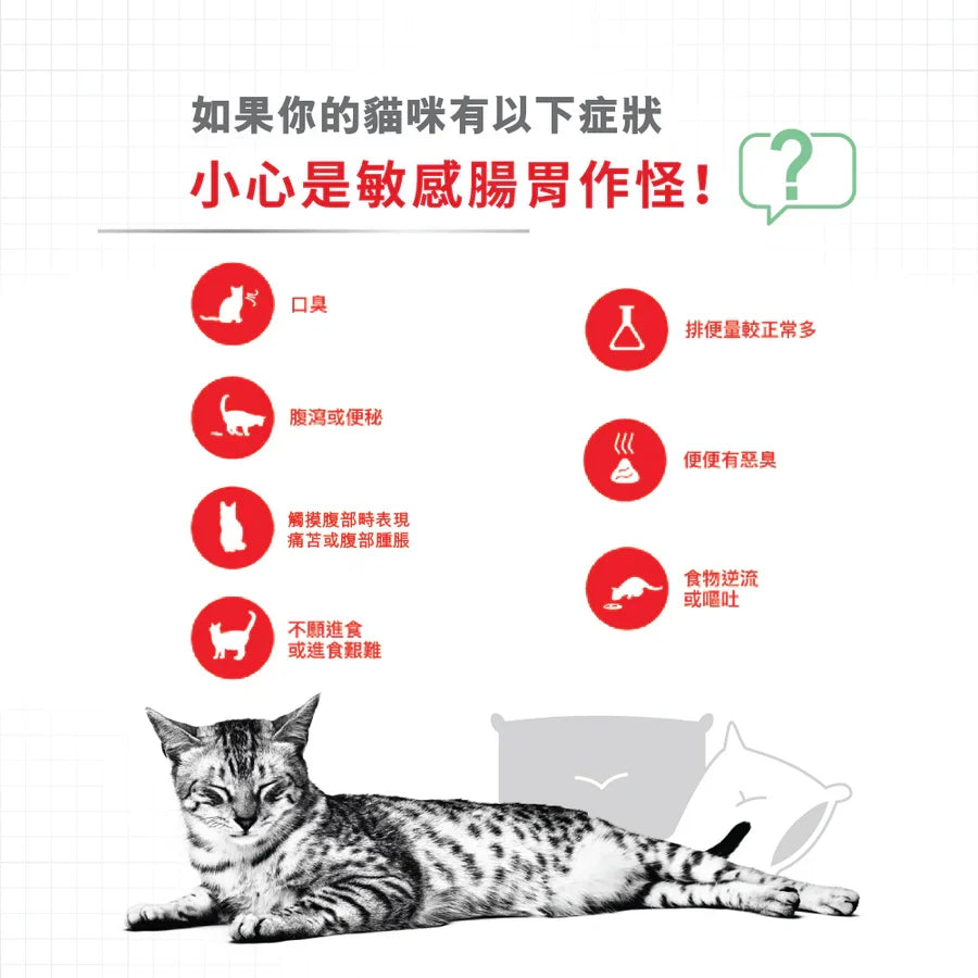 Royal Canin | Digestive Care 消化道健康成貓貓乾糧 4kg