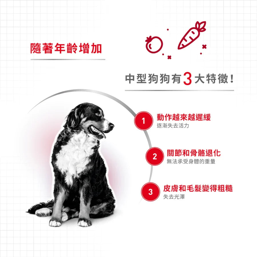 Royal Canin | 中型老犬10+ 狗乾糧 3kg