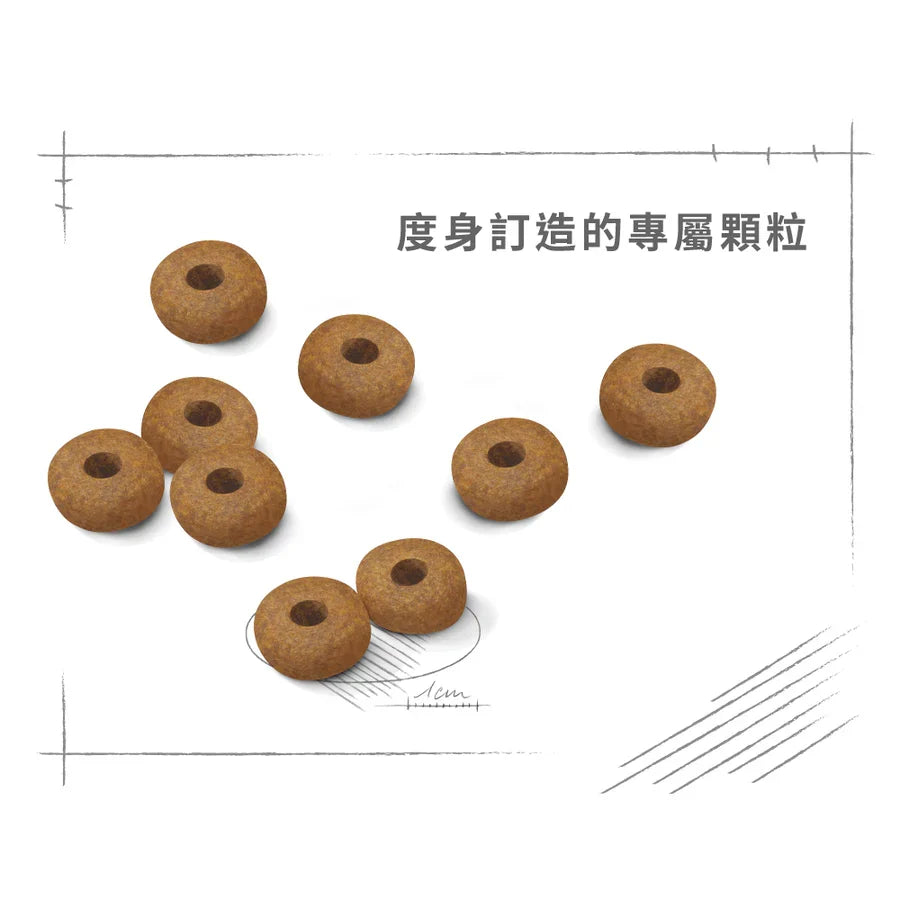 Royal Canin | 中型老犬10+ 狗乾糧 3kg