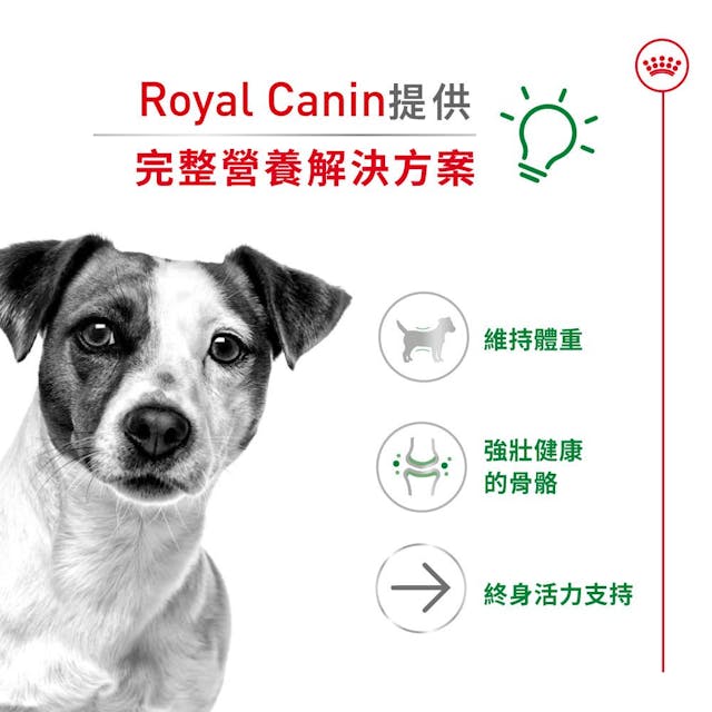 Royal Canin | 小型老犬12+ 狗乾糧 1.5kg