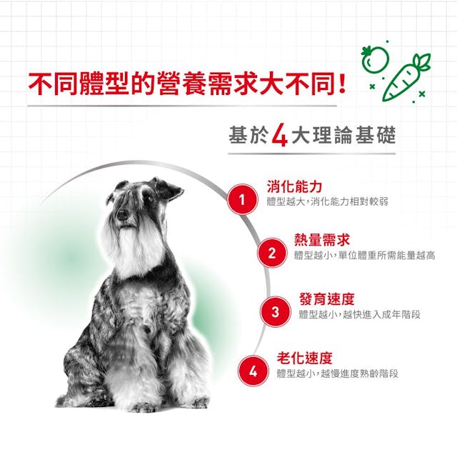 Royal Canin | 小型老犬12+ 狗乾糧 1.5kg