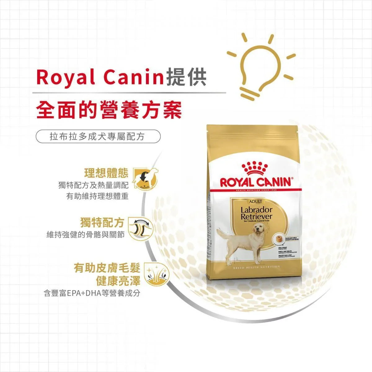 Royal Canin | 拉布拉多成犬專屬配方狗乾糧 12kg