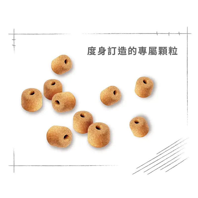 Royal Canin | 拉布拉多成犬專屬配方狗乾糧 12kg
