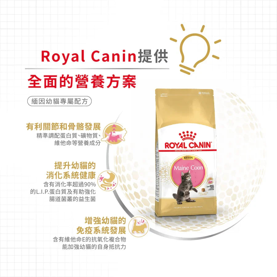 Royal Canin | 緬因幼貓貓乾糧 10kg